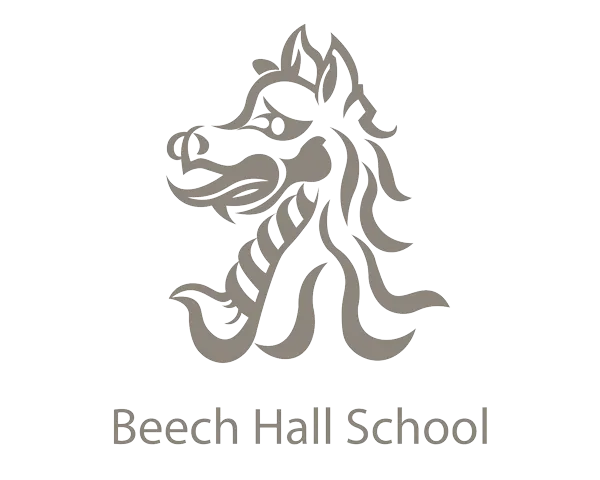 Website For Beech Hall School