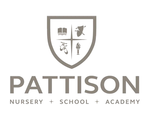 Website For Pattison School